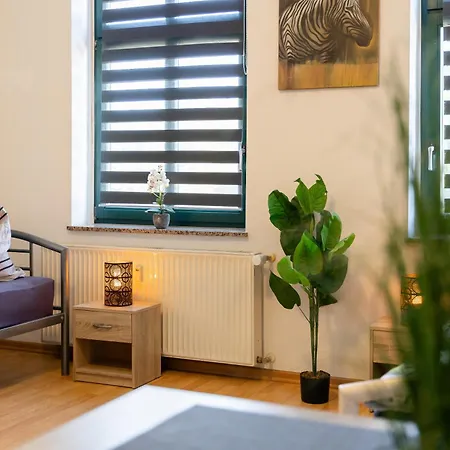 Flex Aparts - Moeblierte In Mit 2 Zimmern Apartamento Zwickau
